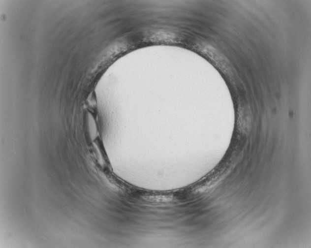 X0000087750449200706041106