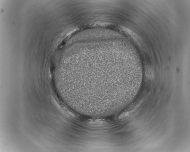 X0000087750451200706041106