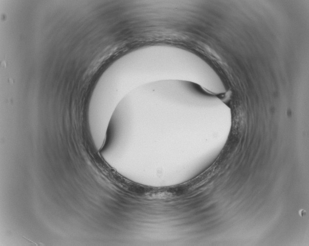 X0000087750452200706041106