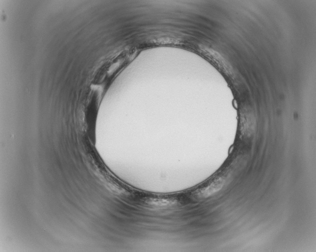 X0000087750453200706041106