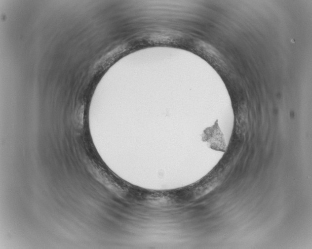 X0000087750454200706041106