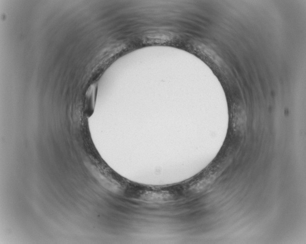 X0000087750455200706041106