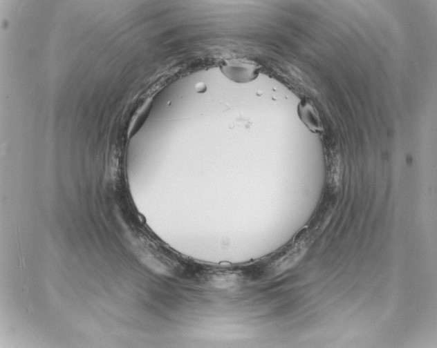 X0000087750456200706041106