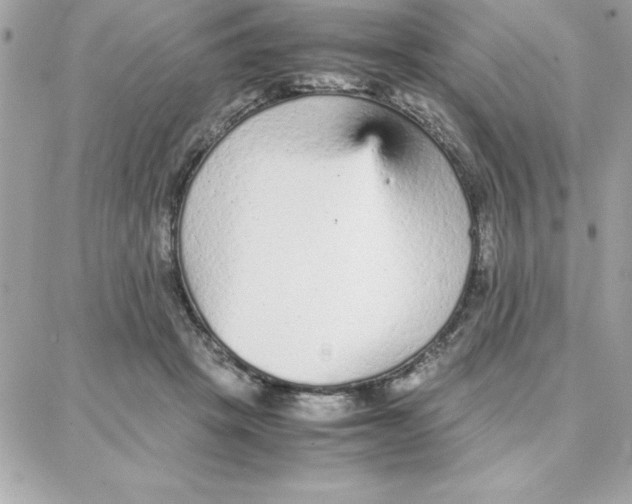 X0000087750457200706041106