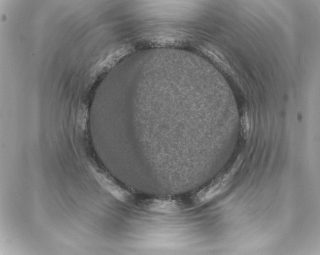 X0000087750458200706041106