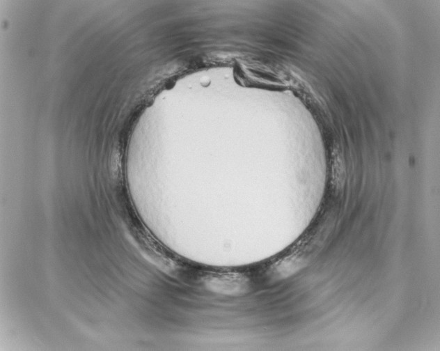 X0000087750459200706041106