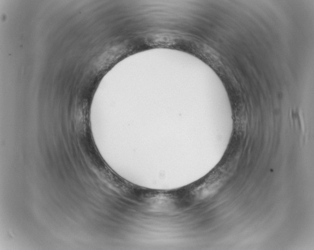 X0000087750460200706041106