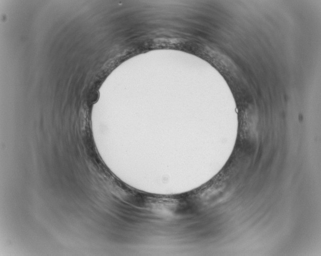 X0000087750463200706041106