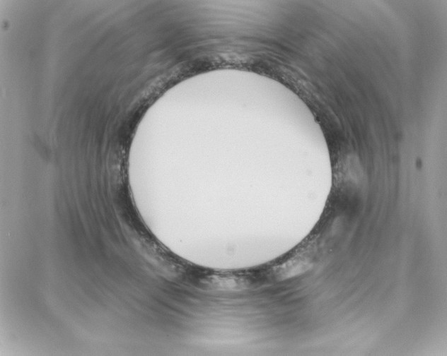 X0000087750464200706041106