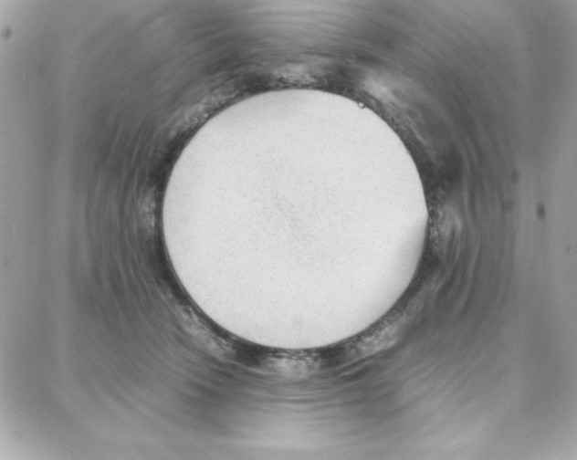 X0000087750466200706041106