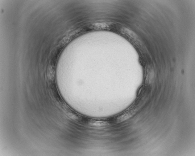 X0000087750467200706041106