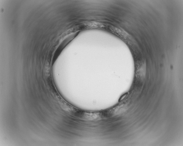 X0000087750469200706041106