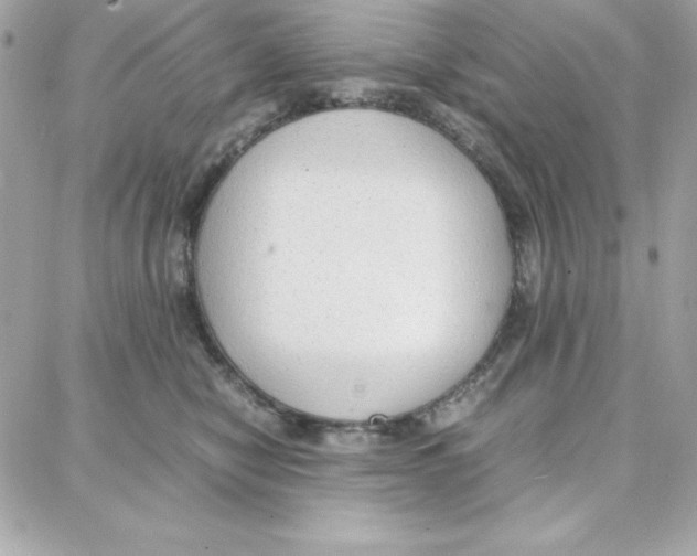 X0000087750470200706041106