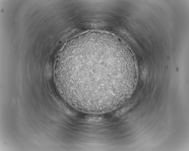 X0000087750471200706041106