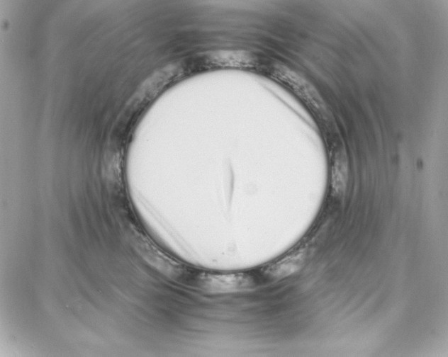 X0000087750473200706041106