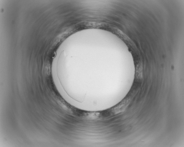 X0000087750474200706041106