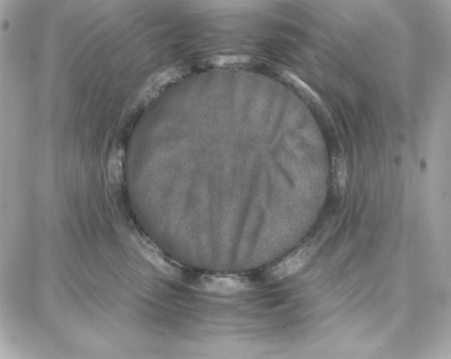 X0000087750475200706041106