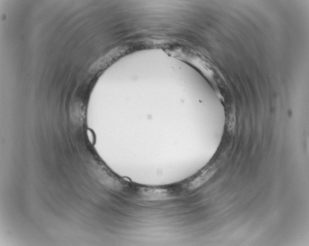 X0000087750476200706041106