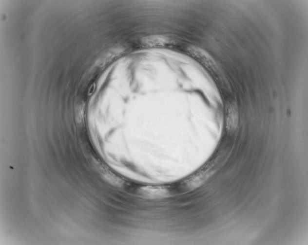 X0000087750477200706041106