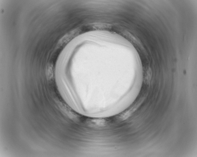 X0000087750478200706041106