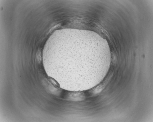 X0000087750479200706041106