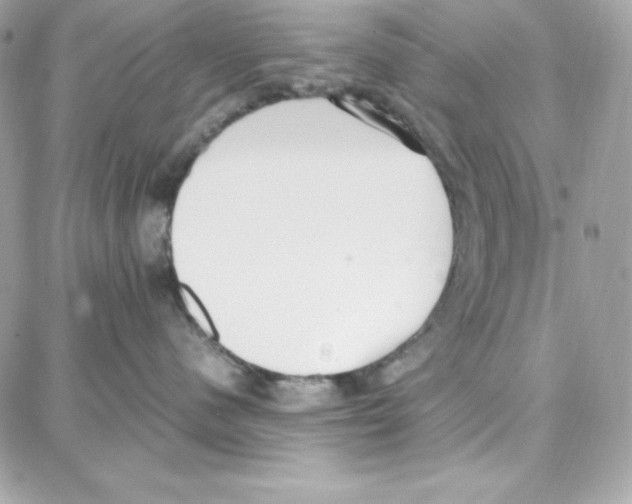 X0000087750480200706041106