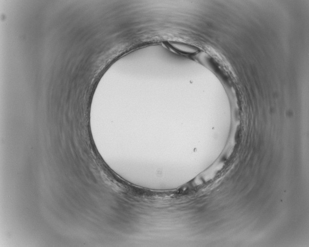 X0000087750481200706041105