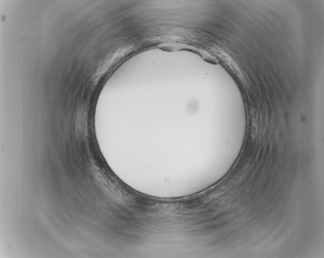 X0000087750482200706041105