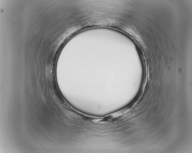 X0000087750483200706041105