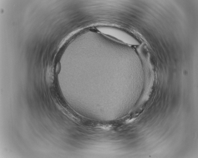 X0000087750484200706041105