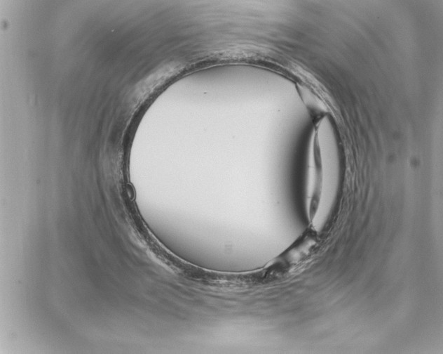 X0000087750485200706041105