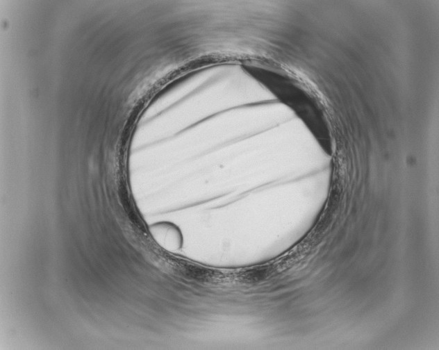 X0000087750487200706041105