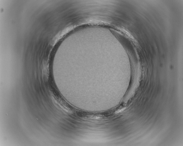 X0000087750488200706041105