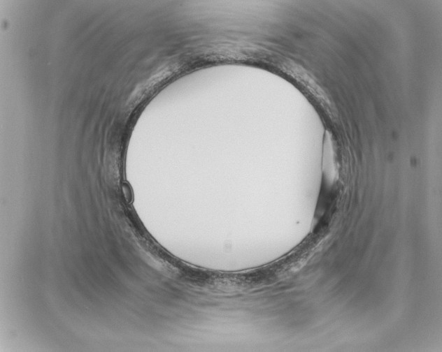 X0000087750489200706041105