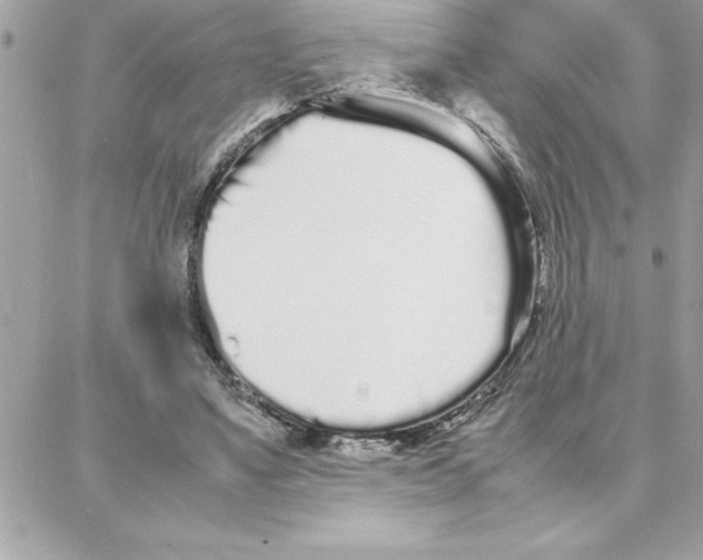 X0000087750491200706041105