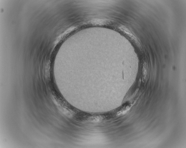 X0000087750492200706041105