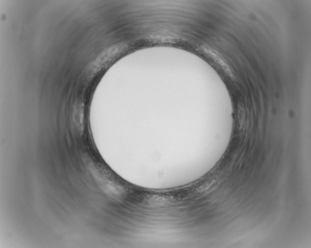 X0000087750494200706041105