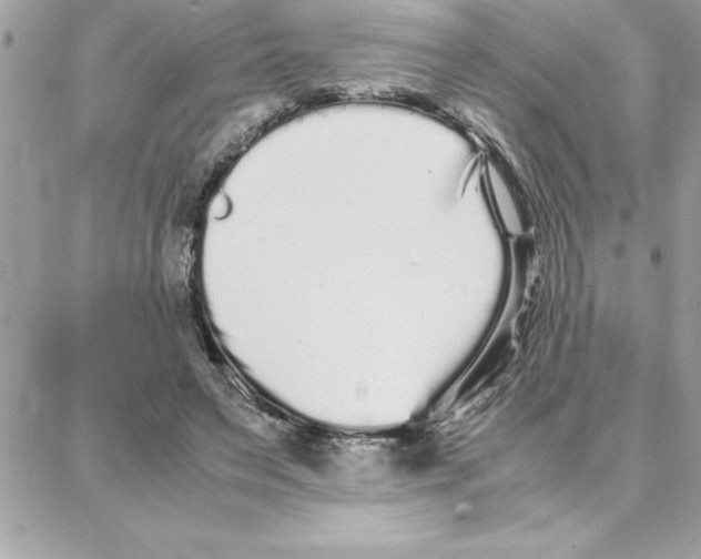 X0000087750495200706041105