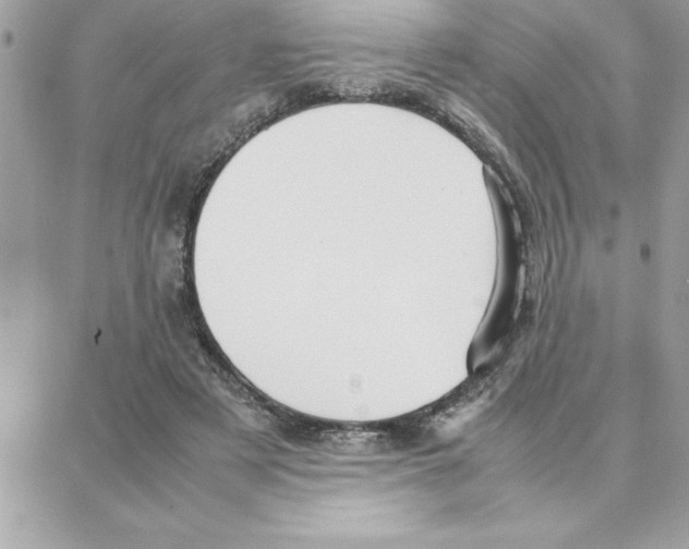 X0000087750497200706041105