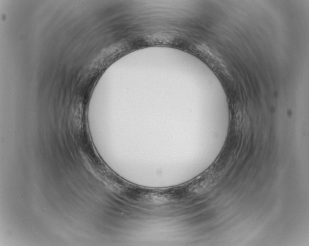 X0000087750498200706041105