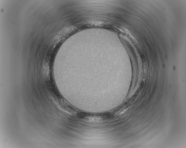 X0000087750500200706041105