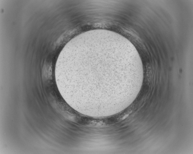 X0000087750502200706041105