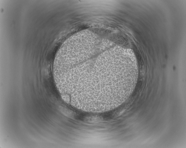 X0000087750503200706041105