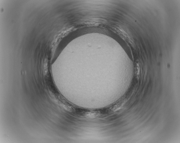 X0000087750504200706041105