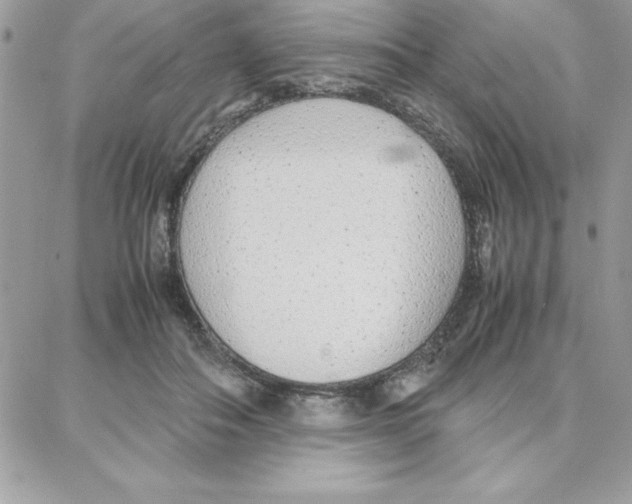 X0000087750506200706041105