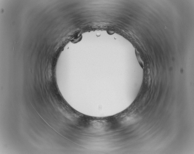 X0000087750508200706041105