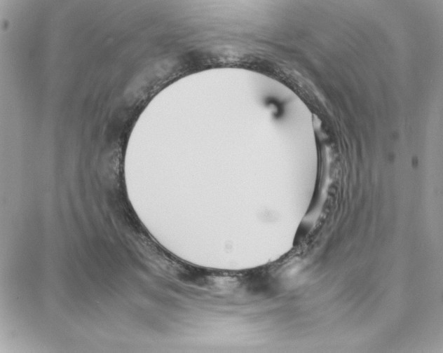 X0000087750509200706041105