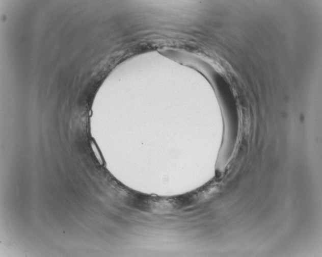 X0000087750513200706041105