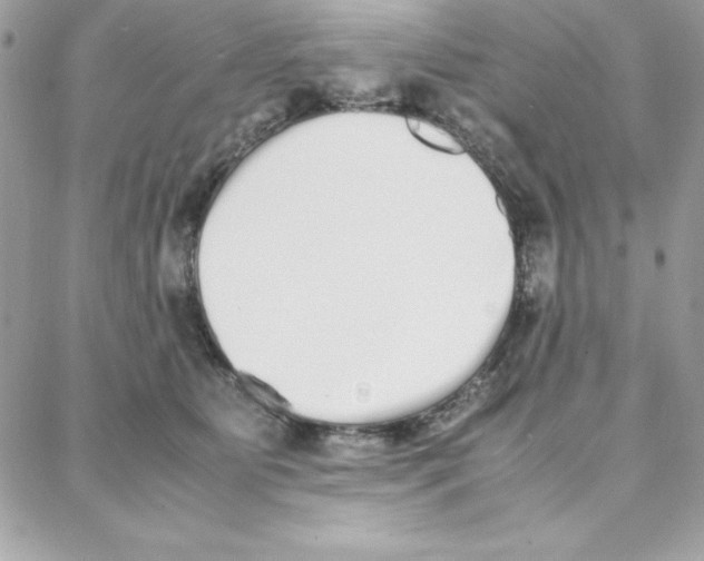 X0000087750515200706041105