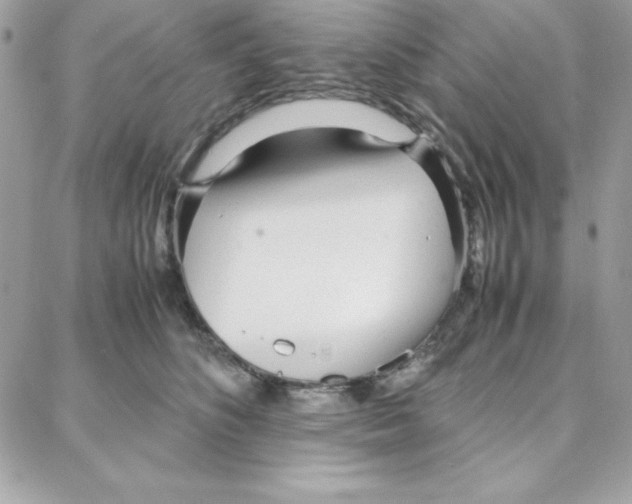 X0000087750516200706041105